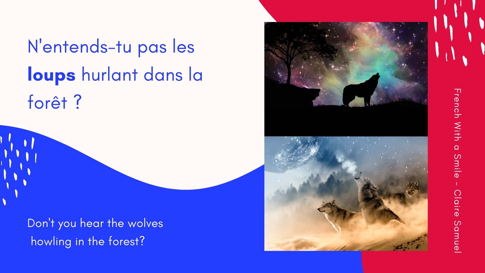 Intermediate #Animals #vocabulary with sentences in #French
