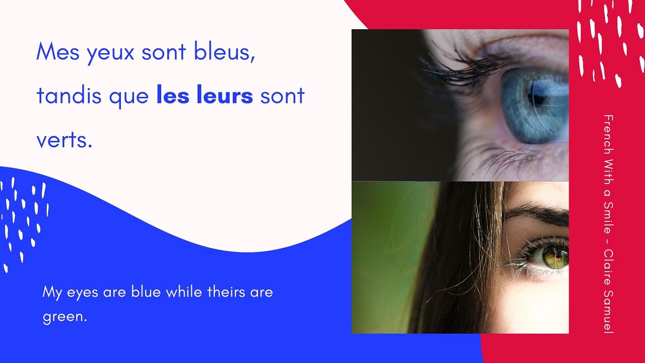 Intermediate #31 LEUR in French personal pronoun or possessive déterminant?