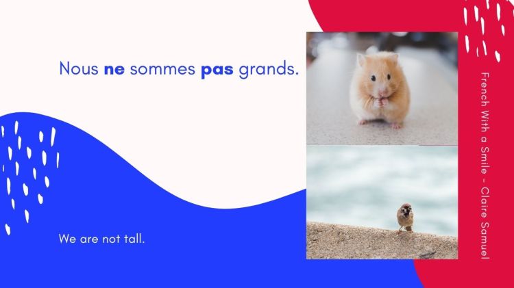 Beginner #57 Easy negative sentences in French